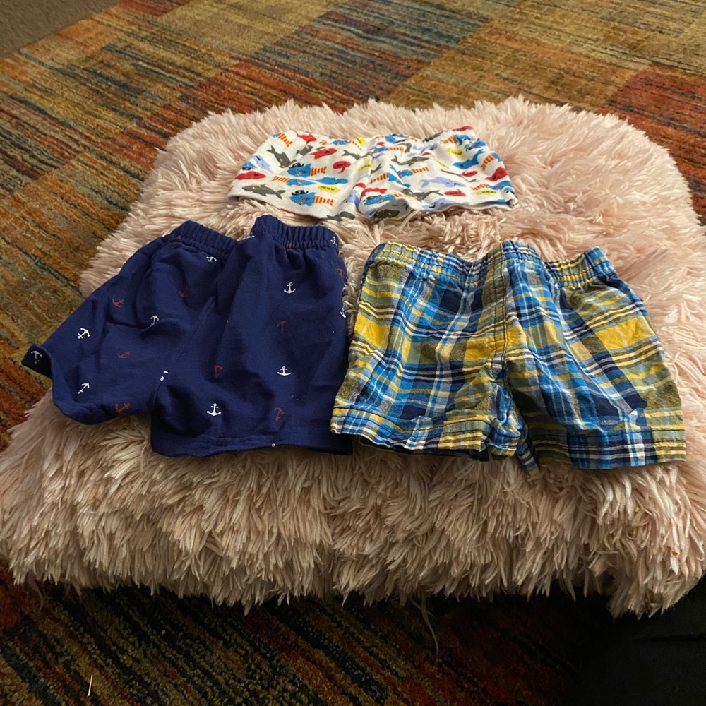 Shorts - Picture 8 of 8